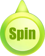 Spin